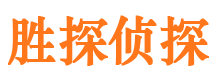 汝阳侦探公司